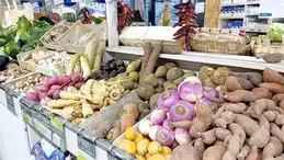 329-legumes-d-hiver.webp